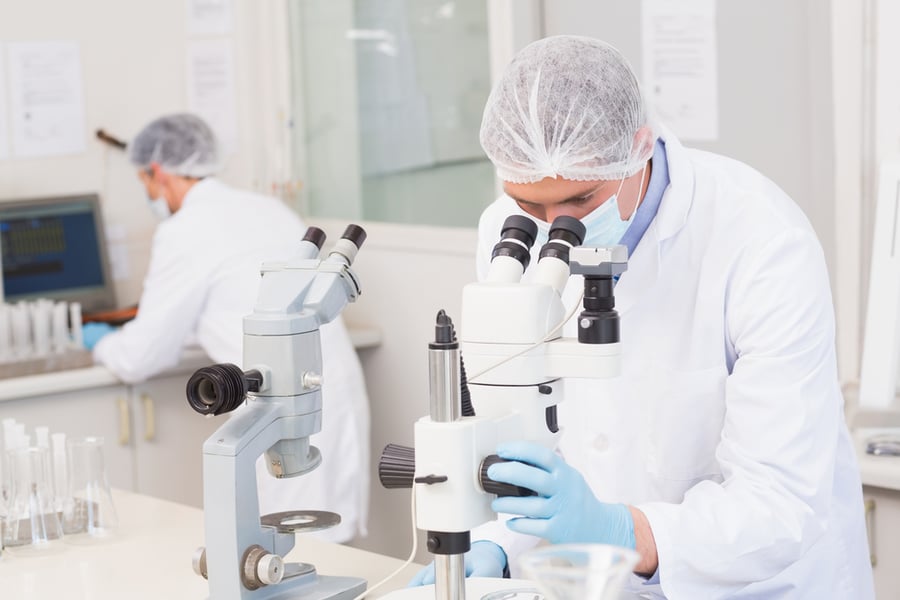 Scientists working attentively with microscopes in laboratory.