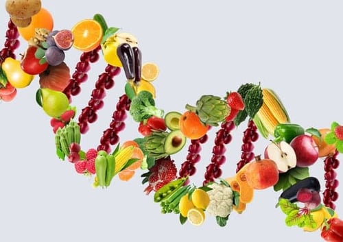 Nutrigenomics